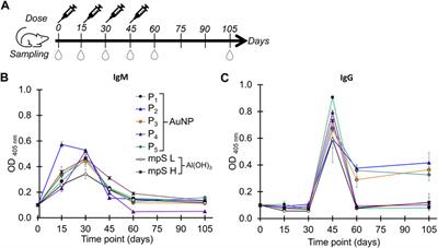 Synthesis and evaluation of gold nanoparticles conjugated with five antigenic peptides derived from the spike protein of SARS-CoV-2 for vaccine development